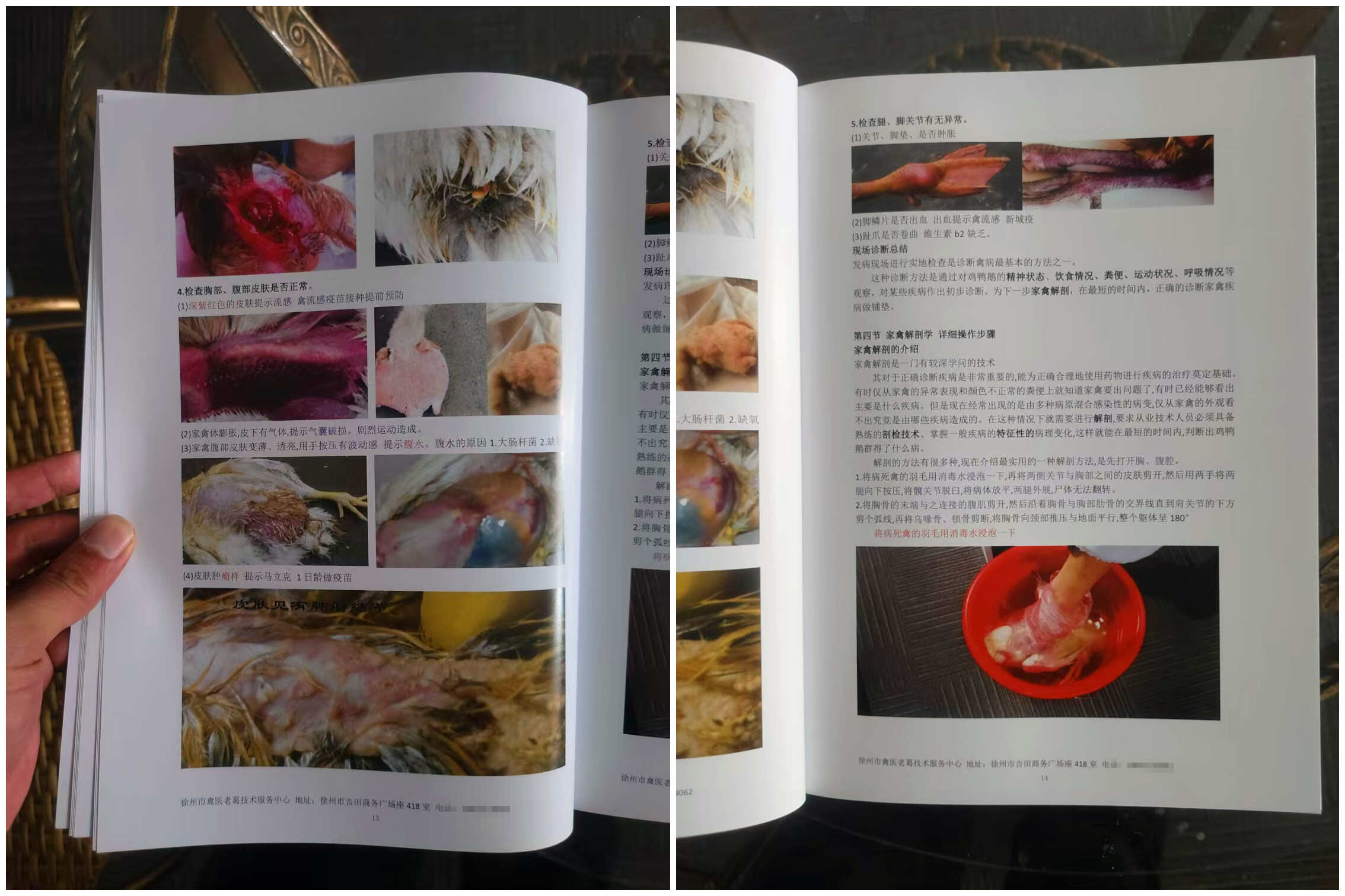 禽病诊断技术教程