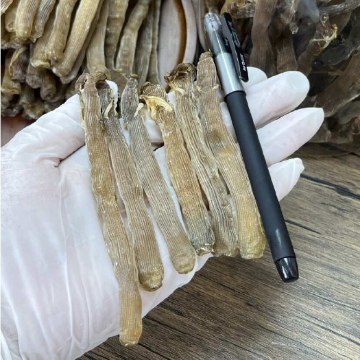 北海特产大灰沙虫干货 厚肉 淡干老沙虫干包邮工厂直销