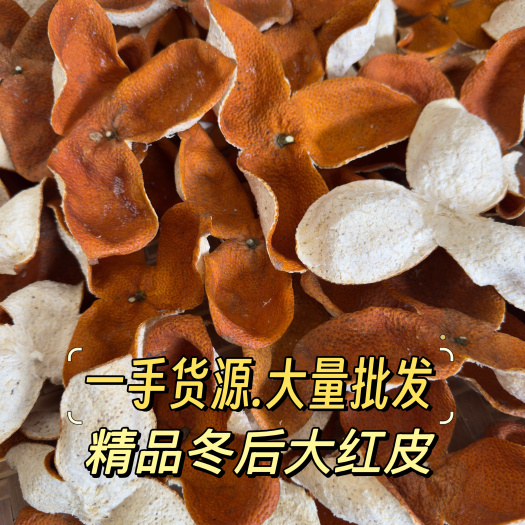 江门2024年大红皮 一手货源批发 新会陈皮供应 陈皮干茶枝柑