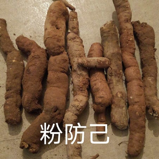 防己，干湿货通货。