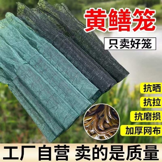无棣县不锈钢弹簧网黄鳝笼折叠虾笼加密折叠工具捕鱼新款泥鳅加厚圆形