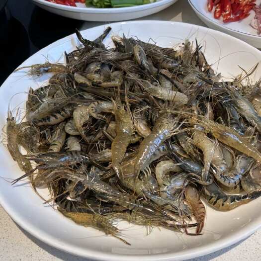 南宁大只河虾，味道鲜美，可遇不可求系列