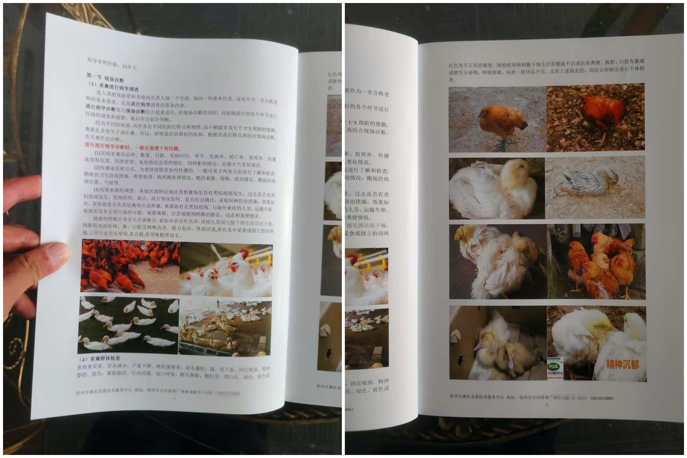 禽病诊断技术教程