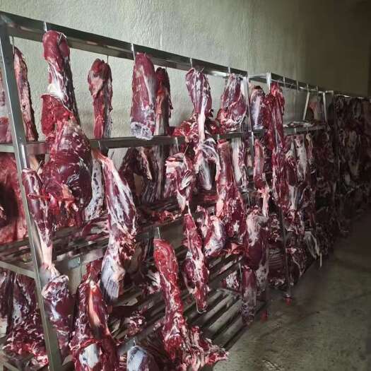 遵义新鲜牛肉