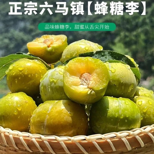 镇宁县蜂糖李