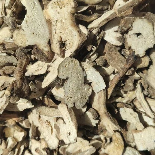 白术切片