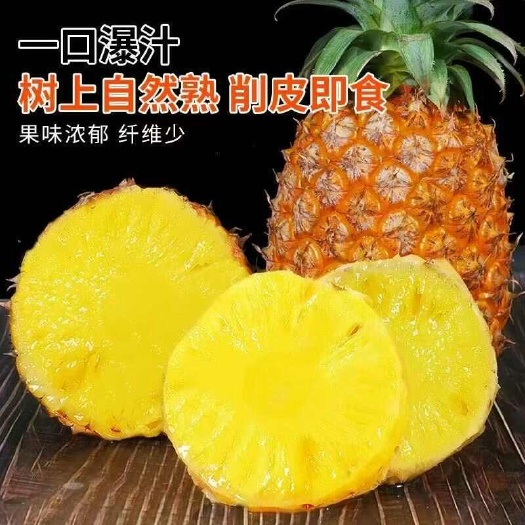 乐东县海南金钻凤梨
