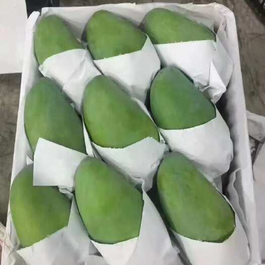 凭祥市大青芒
