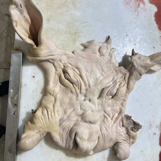 南宁牛头