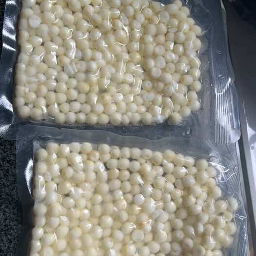 潮州芡实