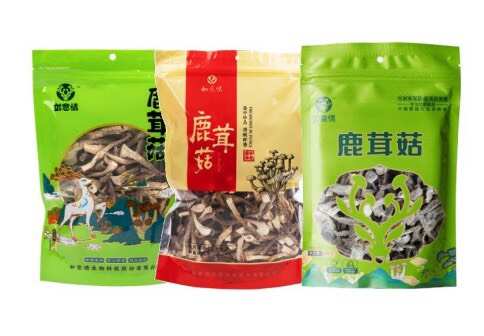 干鹿茸菇，鲜鹿茸菇