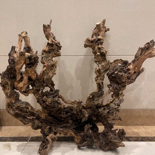 南部县黄荆盆景素材批发