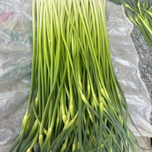 白帽蒜薹，大量上市，物美价廉