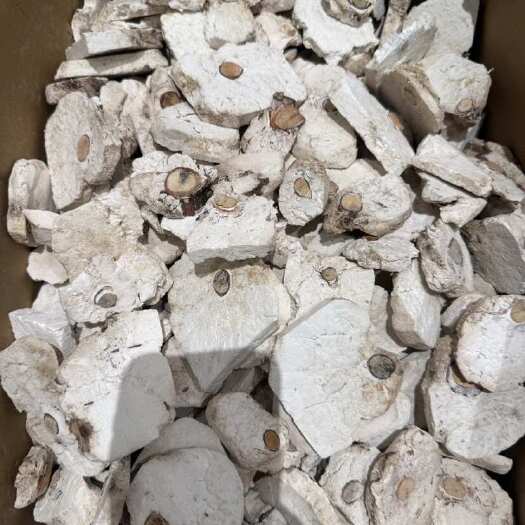 亳州安徽亳州茯苓片中药材干货谯城产地直发