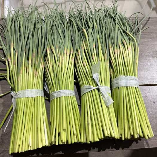 邳州市邳州红帽蒜薹