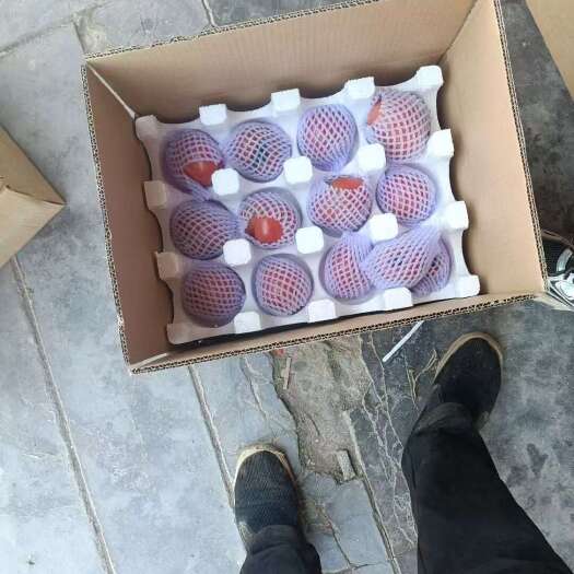 西安普罗旺斯