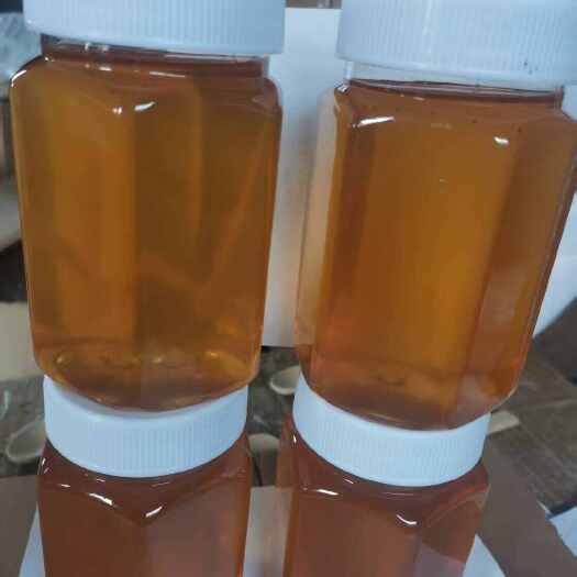蒙阴县沂蒙山野山花蜂蜜 自家采的蜜
