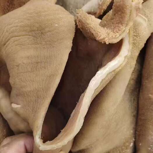 锡林浩特全熟牛肚支持线上交易