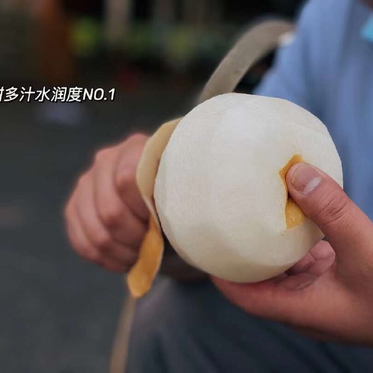 秋月梨【坏损包赔包邮到家】果肉洁白如玉，汁水丰盈甘甜可口