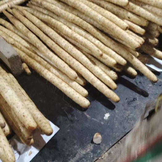 双棒，水洗货，大通货，4567，3个粗左右