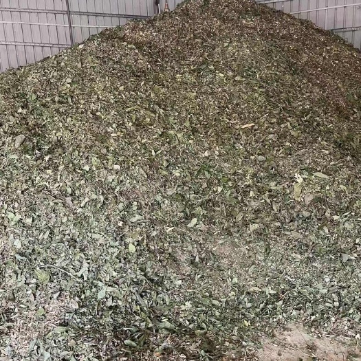 钟山县广西贺州优质牛耳枫中药材 全草类药材批发零售