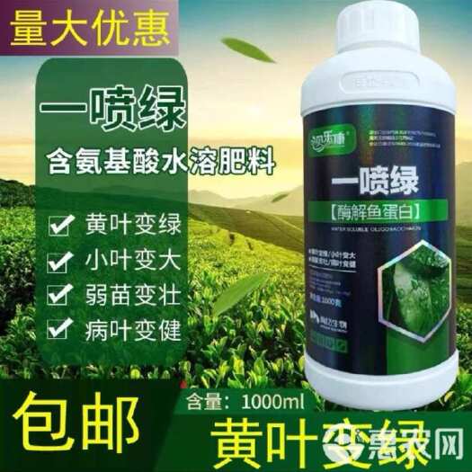 陆丰市黄叶氨基酸一喷绿肥料叶面肥蔬菜花卉壮苗果树死苗微量元素水溶