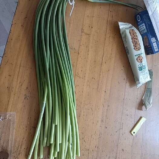 大名县大名红帽蒜苔