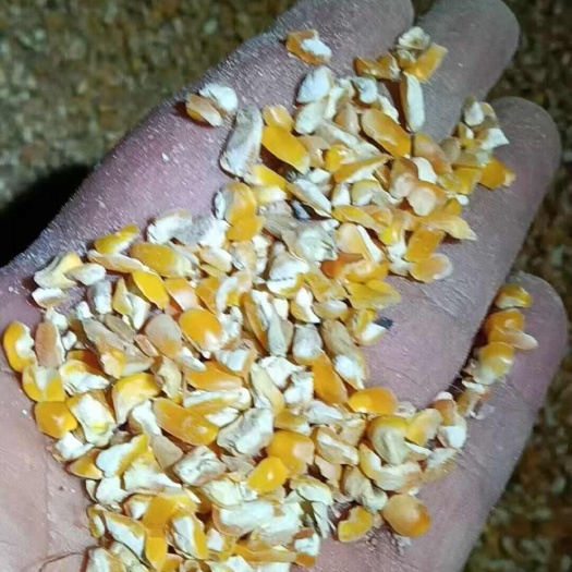 沈阳碎玉米东北玉米精品碎玉米净粮碎玉