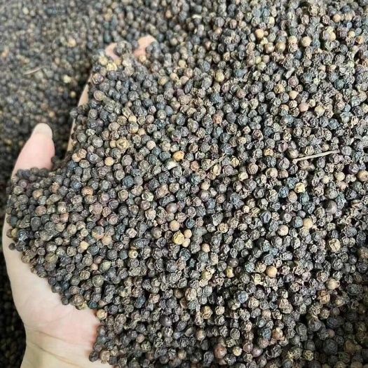 玉林黑胡椒，颗粒干净均匀。