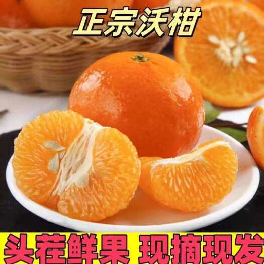恭城县广西桂林恭城沃柑，大量供应，细皮叶面好，量大从优