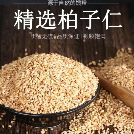 精选柏子仁去壳助睡眠便秘柏籽仁茶【假一赔十】