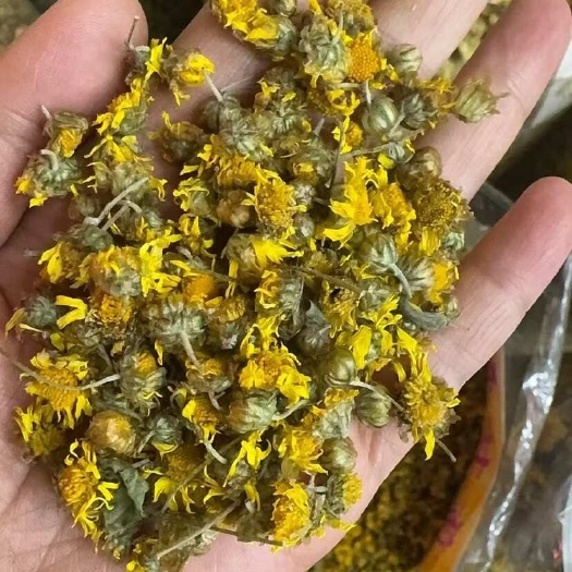 玉林干菊花野菊花自然生长的野菊花烘干货