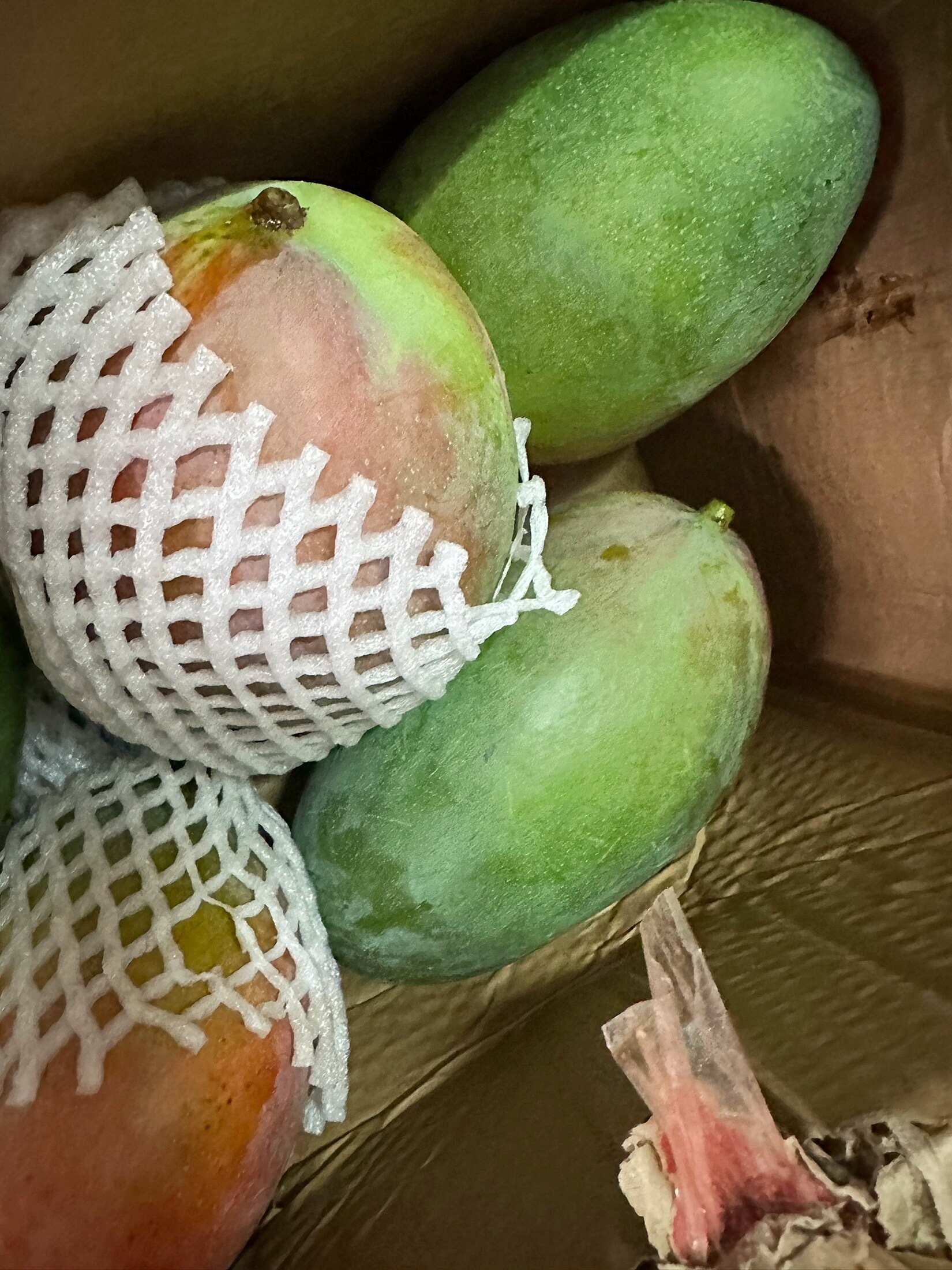 云南当季新鲜大澳芒果，苹果芒，彩虹芒果包邮代发，欢迎老板选购