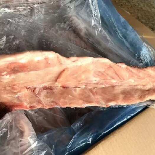 中山市冻猪脊骨