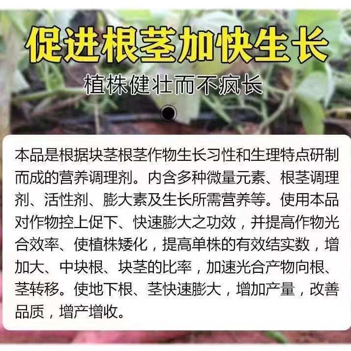 地下根茎专用膨控上促中药材三七白术根茎蔬菜山药萝卜花生土豆