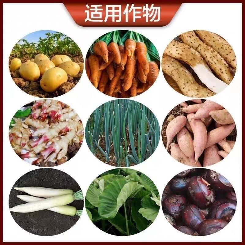 地下根茎专用膨控上促中药材三七白术根茎蔬菜山药萝卜花生土豆