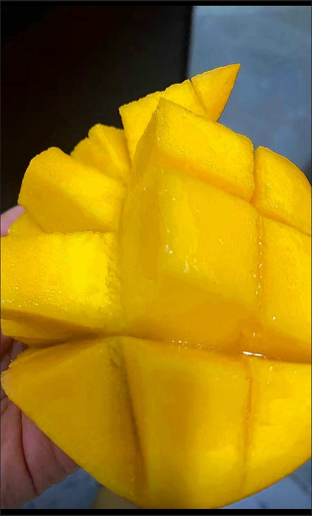 云南当季新鲜大澳芒果，苹果芒，彩虹芒果包邮代发，欢迎老板选购