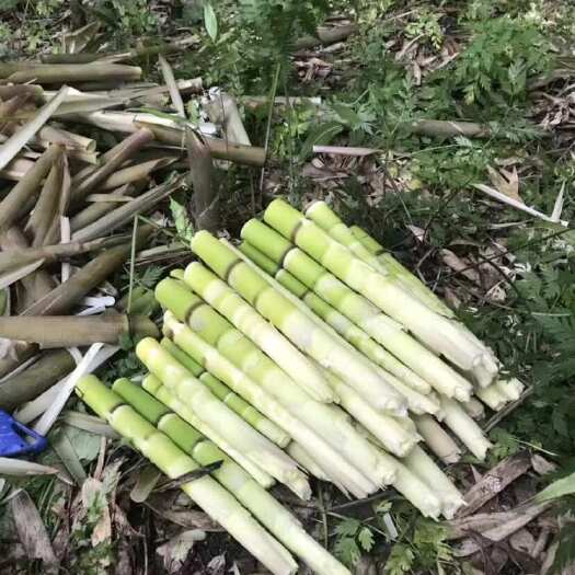 绵竹市天然健康产品，属于笋中积品包好吃不好吃不要钱
