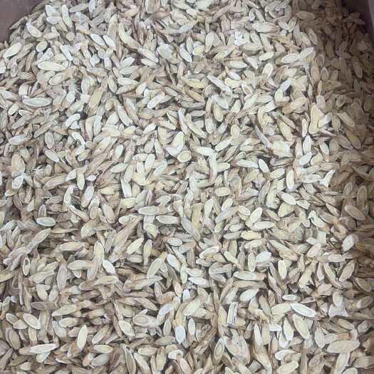 昆明黄芪片