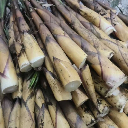 金秀县现挖现卖，泡沫箱包装。味道鲜美。