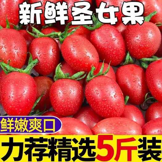 海口【高品质】圣女果小番茄云南新鲜应季水果批发价非千禧圣女果