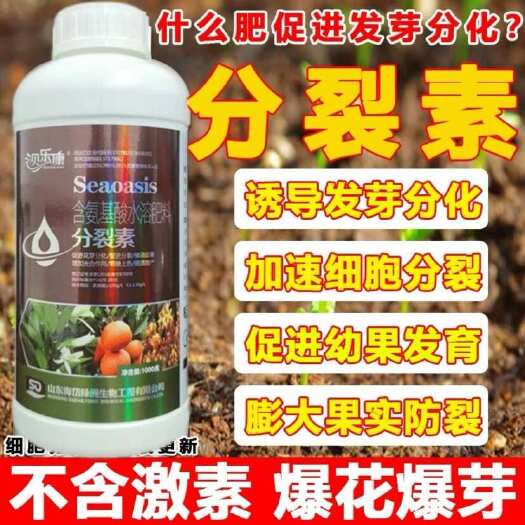 陆丰市细胞分裂保果爆芽素生长花芽分化果树植物催芽多肉叶面肥肥料