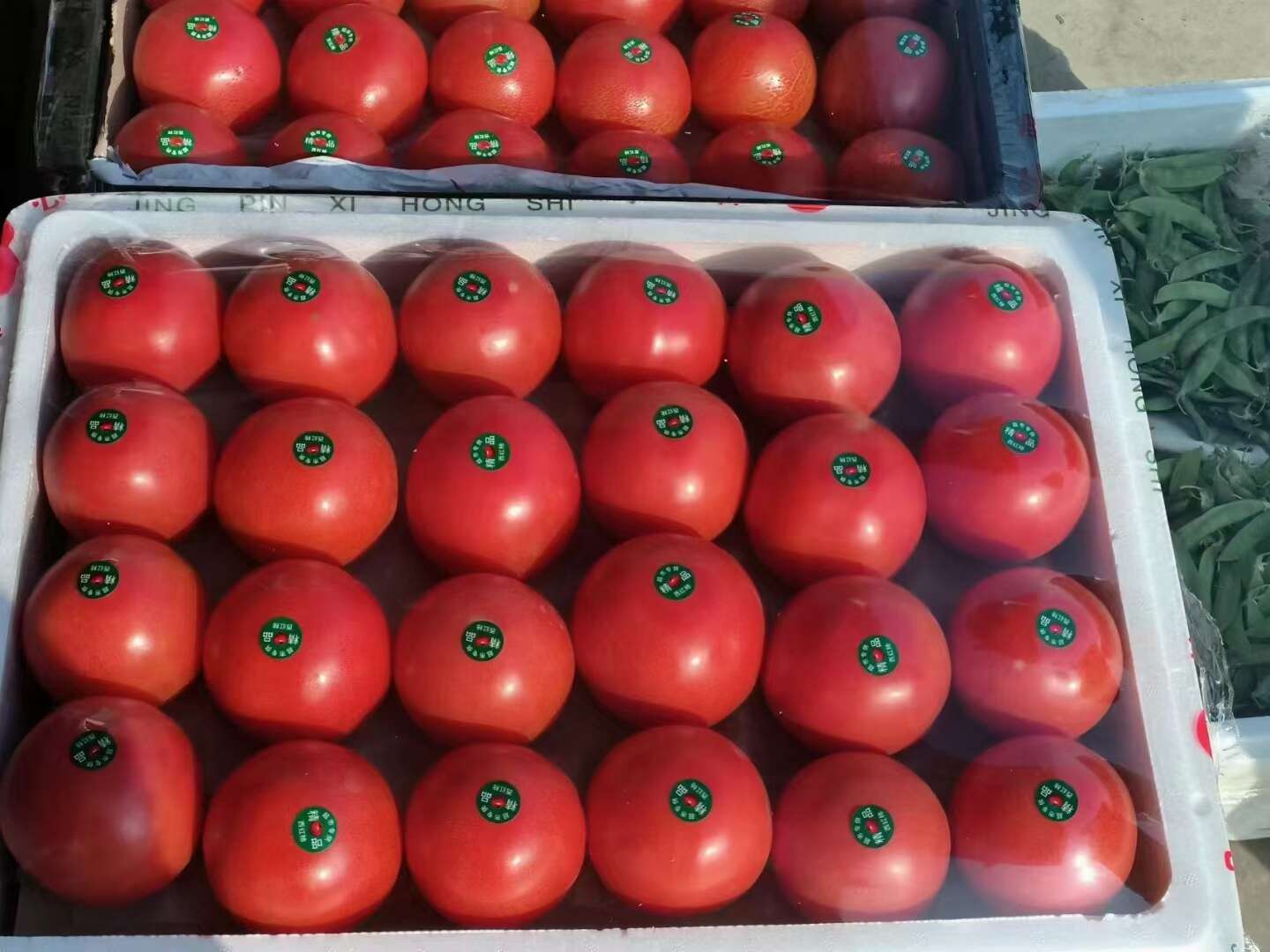 精品西红柿大量有货，价格便宜