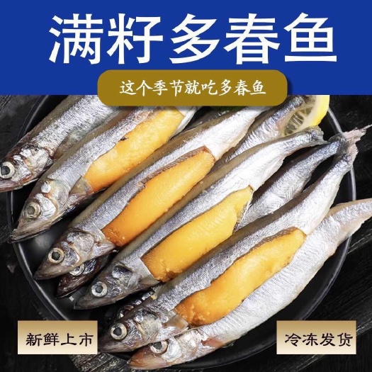 多春鱼满籽新鲜冷冻多籽鱼带籽多春鱼烧烤油炸商用海鱼食材冰鲜