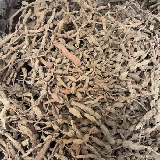 干巴戟虎刺