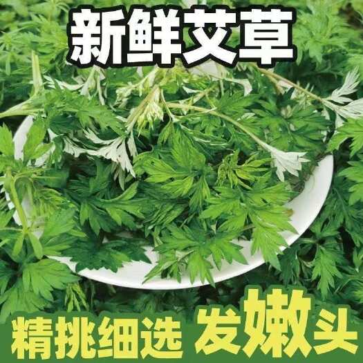 兴宁市梅州可食用艾叶新鲜现摘天然艾草艾草叶青团现发清明艾蒿糍粑