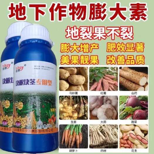 陆丰市地下猛长膨大素生姜魔芋红薯花生土豆药材块根块茎控旺彭大素