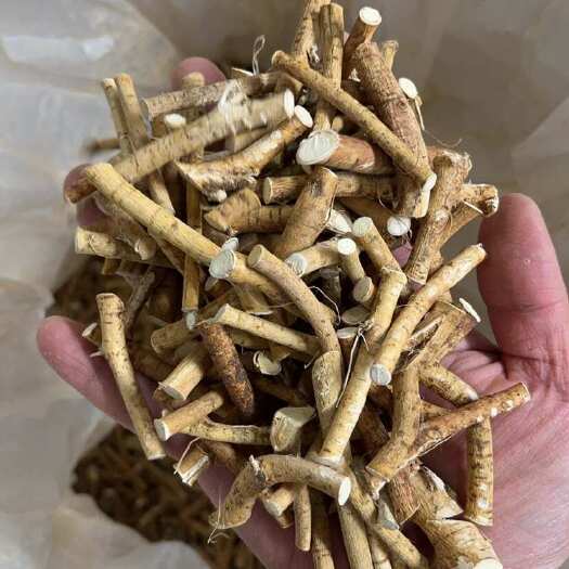 广州五指毛桃产地一手货源，广州荔湾产地直发五指毛桃根茎类煲汤食材