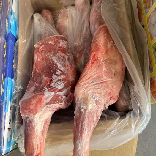 沈阳羔羊前腿