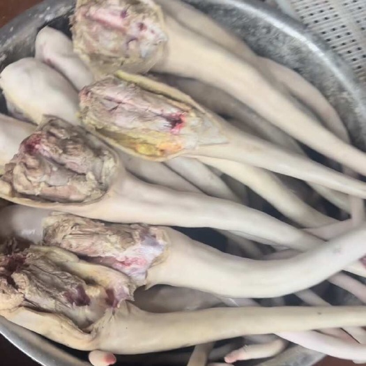 佛山新鲜冷冻牛尾 散装食用农产品 快递物流送货上门